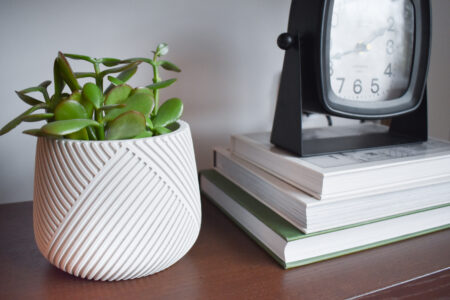 plant_pot_greenery_home _decor_texture